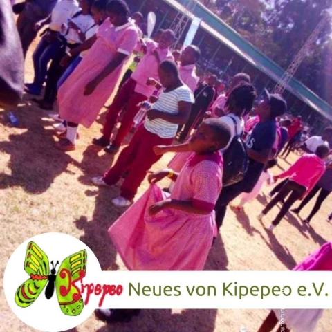 Neues-von-Kipepeo-eV