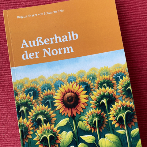 b2ap3_large_ausserhalb-der-norm