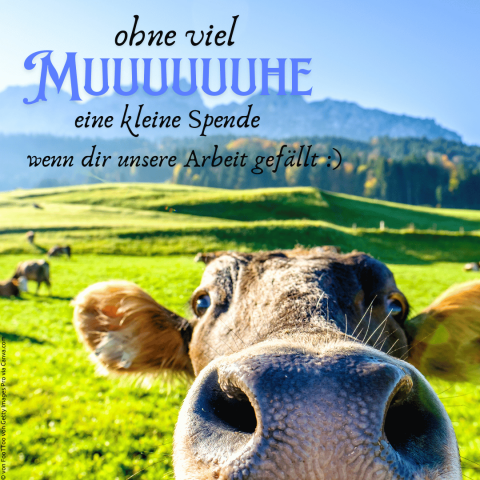 Spendenbutton mit Kuh