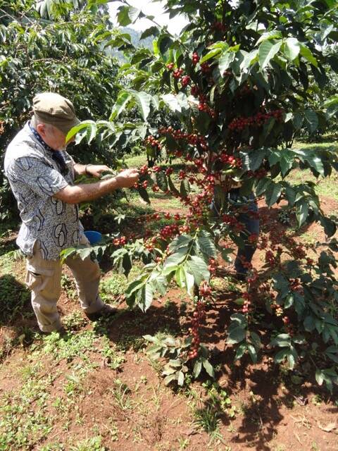 Reise nach Ruanda und weiter nach Uganda zu den
Kaffeebauern, November 2026
