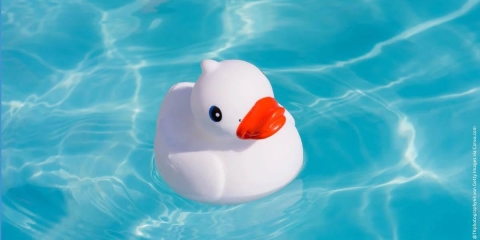 Plastikente im Pool