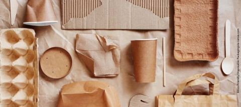 Eco Friendly Disposable Packaging