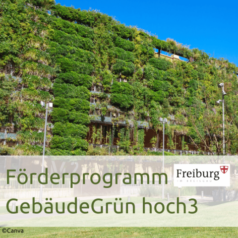 Urbaner Raum soll grüner werden