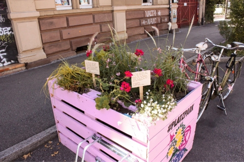Standorte für neue Fahrradbügel und Hochbeete im Sedanquartier