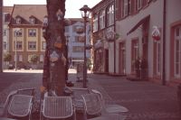 Be japy Warmmachbaum2015 2 web