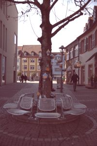 Be japy Warmmachbaum2015 3 web