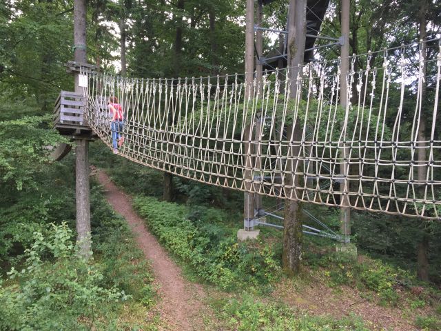 Baumkronenweg Waldkirch 128web