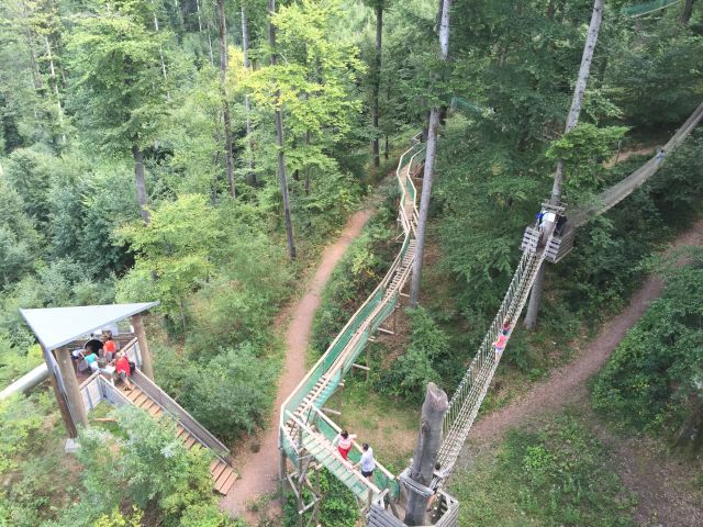 Baumkronenweg Waldkirch 160web