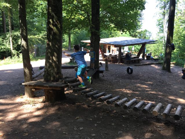 Baumkronenweg Waldkirch 77web