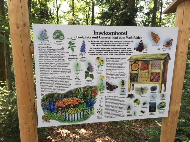 Baumkronenweg Waldkirch 98web