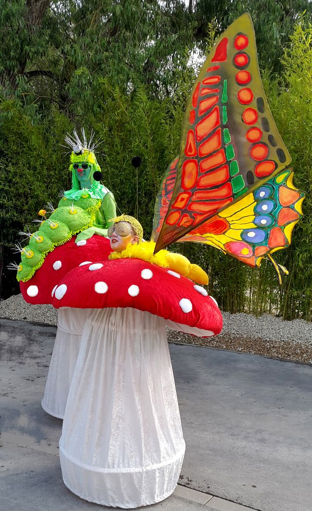 Fenix Theatre Company