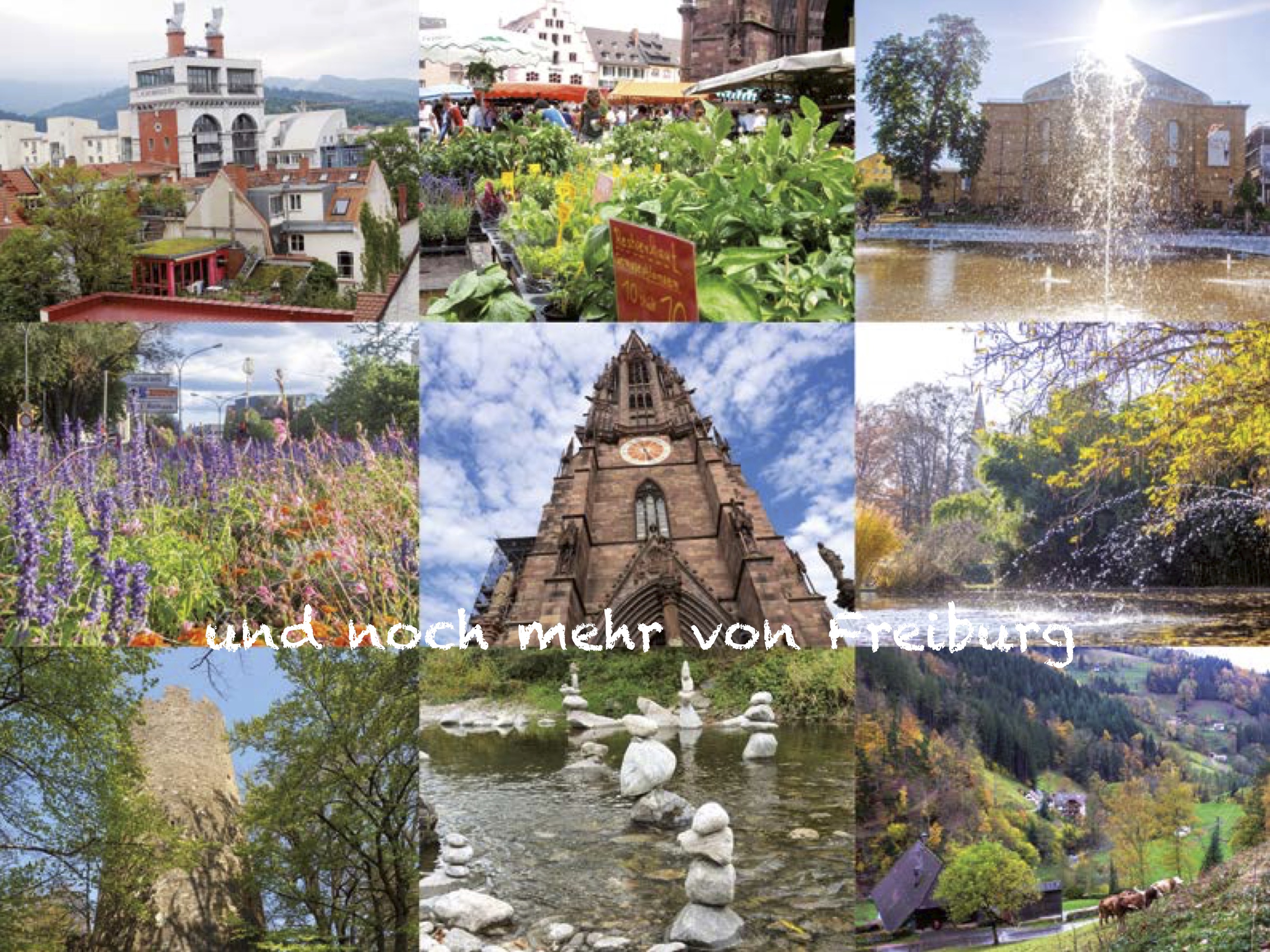 Kalender Leben in Freiburg 2021 2