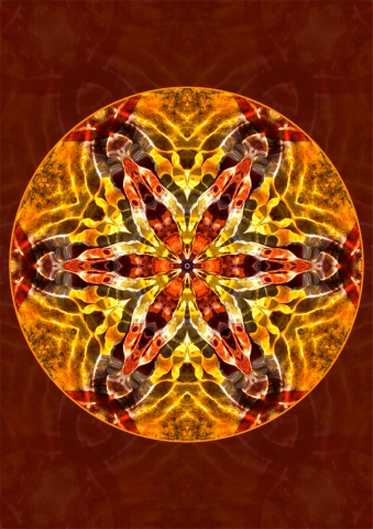 dreisamdreams Kalender Freiburg 191219 b