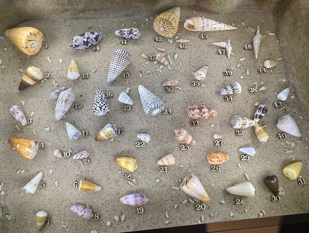 Museum Natur und Mensch tierisch giftig Foto IOG 3