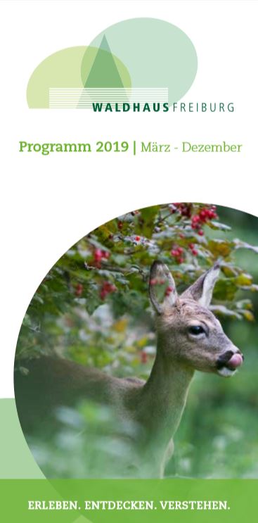 Waldhaus freiburg jahresprogramm 2019
