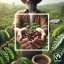 Fairtrade