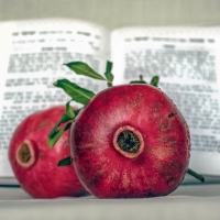 Geschichten aus der jüdischen Tradition