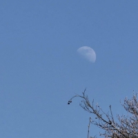 Erwachend leben. Meditations-Seminar