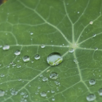 Tag der Artenvielfalt