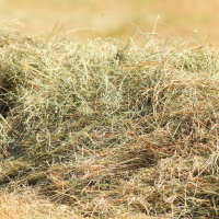 Heu selber flechten - Sonntagsöffnung