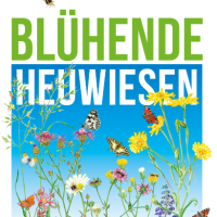 Blühende Heuwiesen