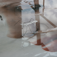 Made in Germany: Animierte Welten