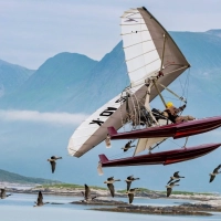 Der Junge und die Wildgänse (Donne-moi des Ailes)
