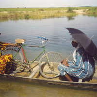 Life On Earth (la Vie Sur Terre)