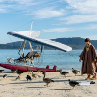 Der Junge und die Wildgänse (Donne-moi des Ailes)