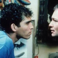 Fresa y chocolate (Erdbeer und Schokolade)