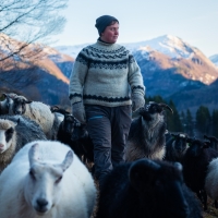 Woolly