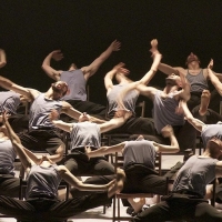 Mr. Gaga - Alles dreht sich und bewegt sich