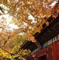 Jahreszeitenspaziergang im Herbst - Chinesische Poesie in der Natur