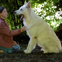 Lampo – Ein Vierbeiner auf Reisen - cinéPolska