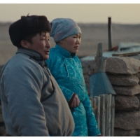 The Wolves always come at Night - Mensch & Klima