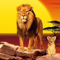 Der König der Löwen // The Music live in Concert