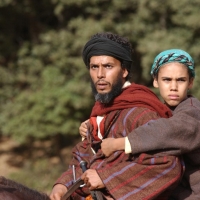 Zaina – Königin der Pferde