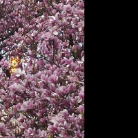 Entspannung mit sanftem Yoga und Klangschalen 