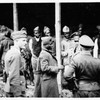 Afrikanische Kolonialsoldaten in deutscher Perspektive – Krieg, Rassismus und Geschlecht im 19. und 20. Jahrhundert