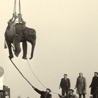 Soundtrack to a Coup d’Etat