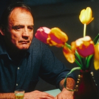 Brot und Tulpen (Pane e Tulipani)