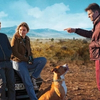 Chien de la Casse (Schrottplatzköter)