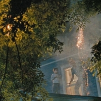 Dinge die von Bäumen hängen