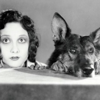 Der Hund von Karibu (Where the North begins)