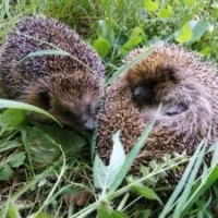 Sonntagsöffnung: Tiere im Winter