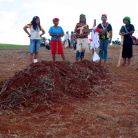 Agrokalyse – Der Tag, an dem das Gensoja kam