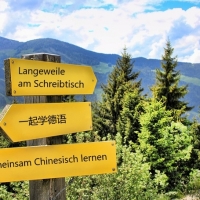 Tandem To Go - Sprache & Schwarzwald entdecken