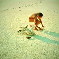 Eami, der Geist des Waldes