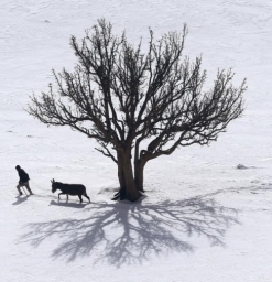 Literaturcafè Malbianco