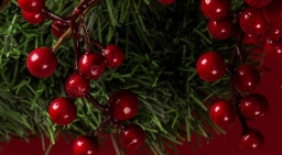 Concerto di Natale Locandina